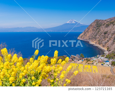 [Shizuoka Prefecture] Beautiful rape blossoms and a view of Mt. Fuji from Kirameki Hill in Nishiizu 123721165