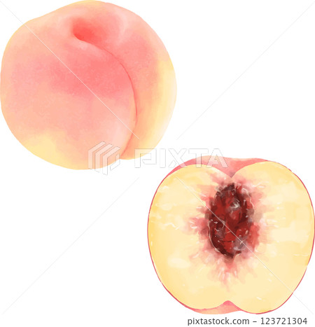 手繪桃子 手繪桃子 123721304