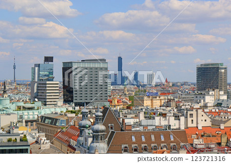 Vienna cityscape 123721316