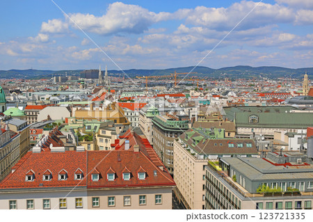 Vienna cityscape 123721335