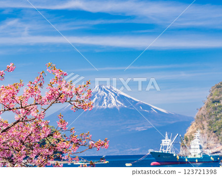 (Shizuoka Prefecture) Mt. Fuji as seen from Nishiizu Toda Port with Kawazu cherry blossoms in bloom (Shizuoka Prefecture) Mt. Fuji as seen from Nishiizu Toda Port with Kawazu cherry blossoms in bloom 123721398