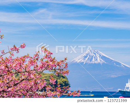 (Shizuoka Prefecture) Mt. Fuji as seen from Nishiizu Toda Port with Kawazu cherry blossoms in bloom (Shizuoka Prefecture) Mt. Fuji as seen from Nishiizu Toda Port with Kawazu cherry blossoms in bloom 123721399