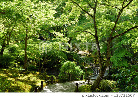 Yuko-ji寺 123721507