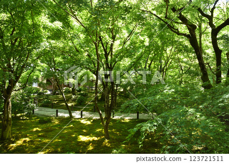 Yuko-ji Temple 123721511