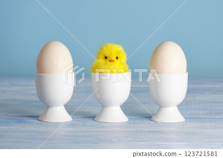 Minimalist Easter composition with plush chicken and eggs in cups on pastel blue background 123721581