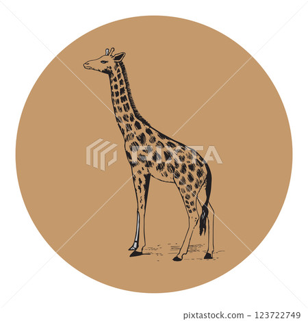 Giraffe silhouette editable vector illustration 123722749