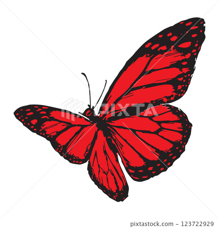 Butterflies silhouette black background on white Background Butterflies silhouette black background on white Background 123722929