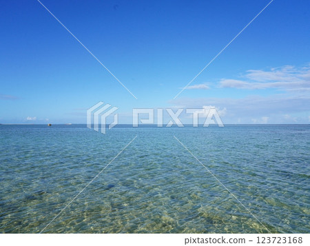 沖繩的清澈海洋 123723168