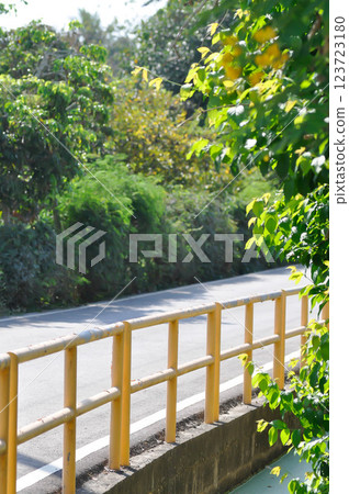 canal, road or street and tree 123723180