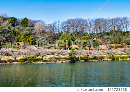 東京都町田市藥師池公園梅園，都指定名勝 123723288