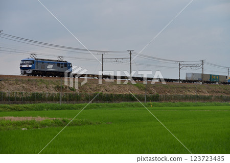 運行於東海道本線的EF210-7號貨櫃貨運列車 123723485