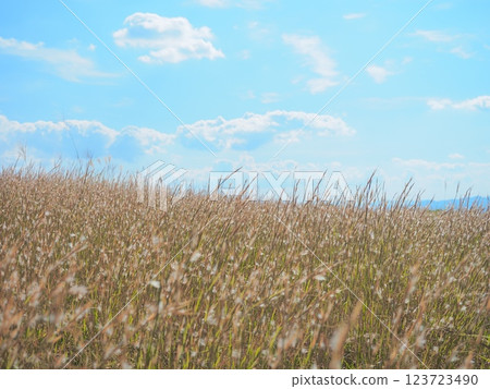 Mountain scenery at Kurinodake Recreation Village, Yusui Town, Kagoshima Prefecture 123723490