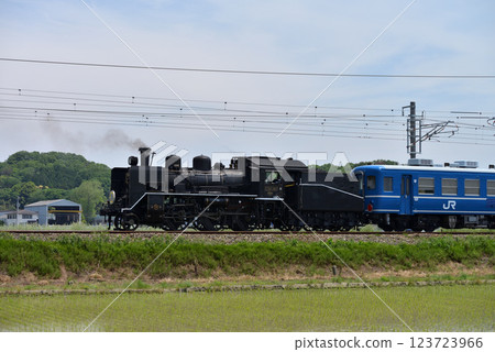 C56160 steam locomotive pulling the SL Kita Biwako 123723966