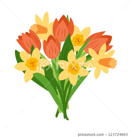 Beautiful spring bouquet of red tulips and yellow daffodils with green leaves, arranged in a vibrant floral composition. Floral vector drawing isolated on white background. 123724663