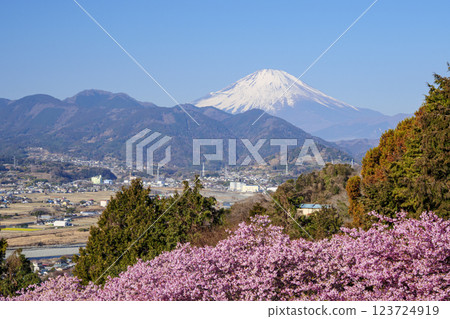 Mount Fuji in early spring from Mount Matsuda 123724919