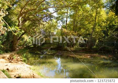 Scenic Wooden Bridge Over a Calm Forest River Scenic Wooden Bridge Over a Calm Forest River 123725872