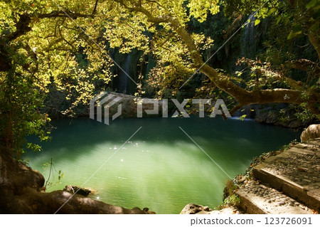 Sunlit Forest Pond with Overhanging Tree Branch Sunlit Forest Pond with Overhanging Tree Branch 123726091