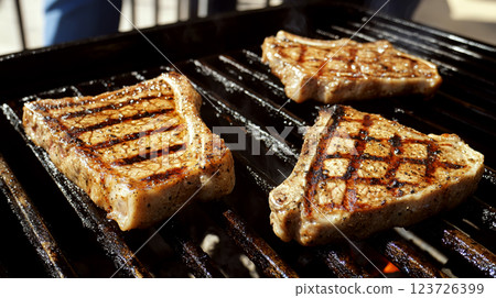 Three grilled steaks on a barbecue with visible sear marks. Concept of outdoor cooking and barbecue. 123726399