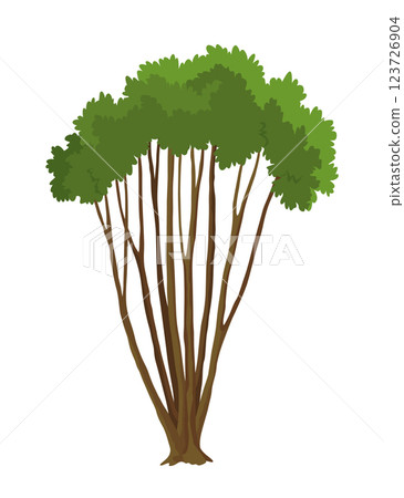 Kind of bush icon. Deciduous plant. Green crowns and lush foliage with natural brown trunks and branches. Vector cartoon illustration Kind of bush icon. Deciduous plant. Green crowns and lush foliage with natural brown trunks and branches. Vector cartoon illustration 123726904