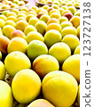 Ripe southern high plum 123727138