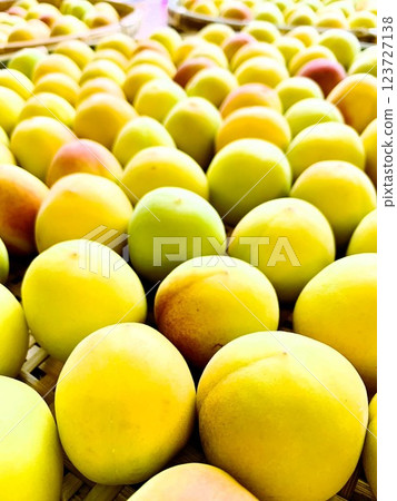 Ripe southern high plum Ripe southern high plum 123727138