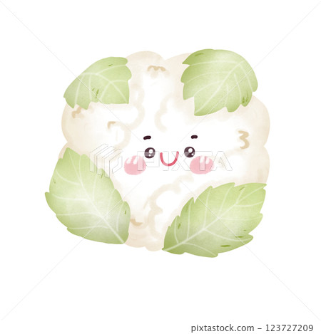 Cute cauliflower  123727209