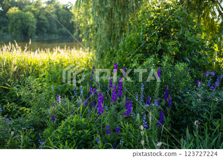 The image shows a vibrant garden scene with lush green foliage and various colorful flowers, including purple, yellow, red, and pink blossoms, set against the backdrop of tall trees. 123727224