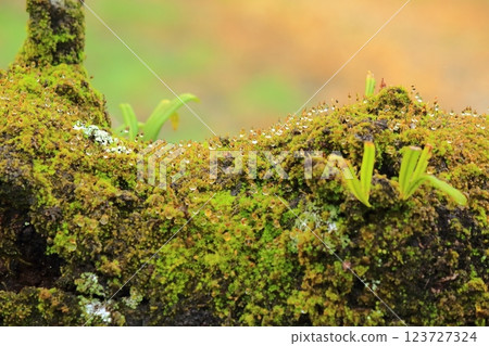 Countless Drops 123727324