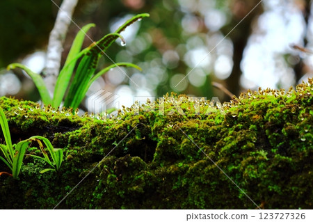 Countless Drops 123727326