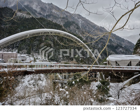 白雪皚皚的祖谷羅馬橋 白雪皚皚的祖谷羅馬橋 123727334
