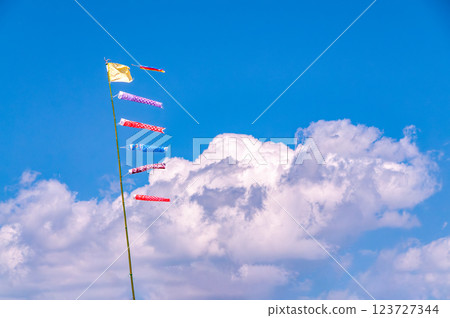 天空中飄揚的小鯉魚旗 3 123727344