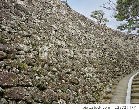 Castle's stone wall Castle's stone wall 123727477
