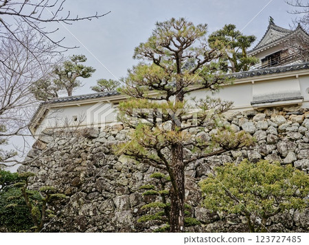Castle's stone wall Castle's stone wall 123727485