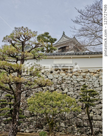 Castle's stone wall Castle's stone wall 123727486
