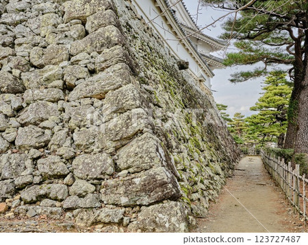 Castle's stone wall 123727487