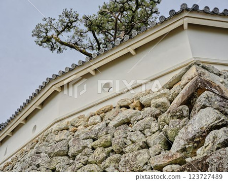 Castle's stone wall 123727489