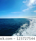 beautiful sea and wake 123727544