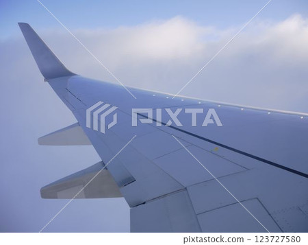Airplane wing 123727580