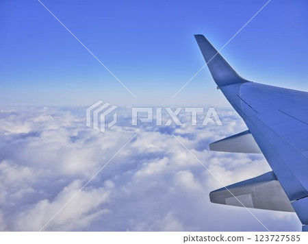 Airplane wing Airplane wing 123727585