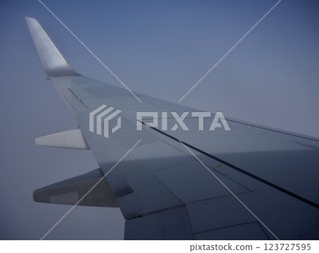 Airplane wing Airplane wing 123727595
