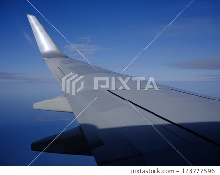 Airplane wing Airplane wing 123727596