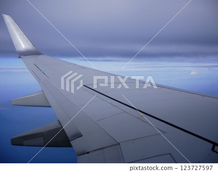 Airplane wing Airplane wing 123727597