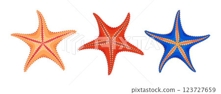Starfish icon set. Sea animals Hand drawn trendy flat style sea stars isolated icon 123727659
