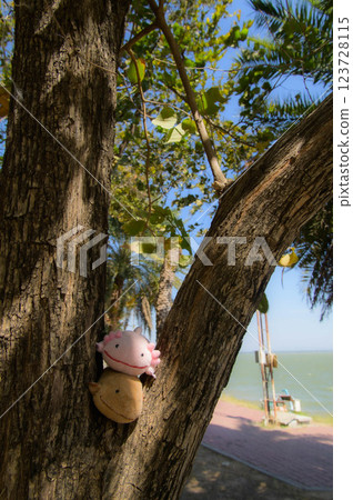 The sea seen through the trees The sea seen through the trees 123728115