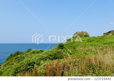 青森縣八戶市鮫町蘆毛崎瞭望台的岩石上可眺望太平洋 青森縣八戶市鮫町蘆毛崎瞭望台的岩石上可眺望太平洋 123728442