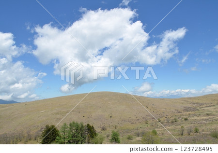 Raised bog, Kirigamine plateau, Nagano prefecture Raised bog, Kirigamine plateau, Nagano prefecture 123728495