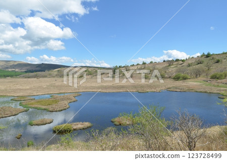Yashima Marsh, Kirigamine Plateau, Nagano Prefecture 123728499