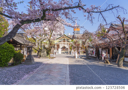 櫻花盛開時節的櫻之宮神社（Sakuranomiya）——大阪府大阪市宮古島區中野町—— 123728506