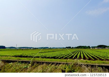 青森縣10號公路：青森縣北上市六戶町公路沿線的田野景色 123728513