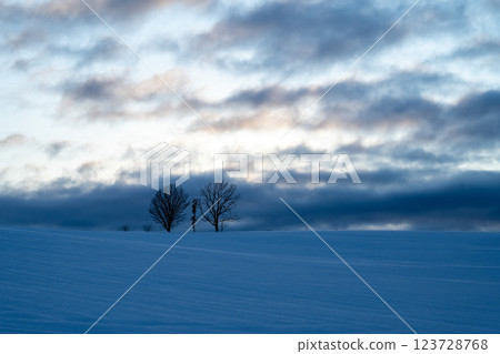 北海道的冬天:美瑛與富良野 北海道的冬天:美瑛與富良野 123728768